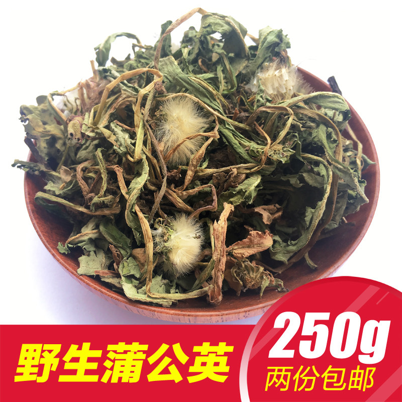 全株蒲公英根野生整根