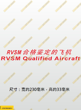 RVSM证飞机中英文认标志轮廓车身贴个性后风挡油箱盖遮盖划痕贴B