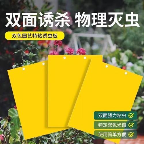 粘虫板黄板双面诱虫贴纸大棚果园灭小飞虫果蝇苍蝇高效诱捕器