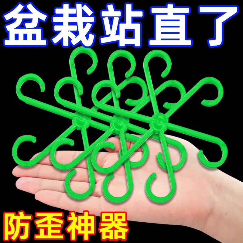 龟背竹春羽防倒伏支撑固定器花园爬藤架枝干稳定水培工具实用花盆
