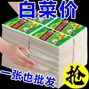 粘苍蝇贴苍蝇纸诱蝇灭蚊苍蝇粘板抓蝇强力黏胶家用厨房餐厅一扫净