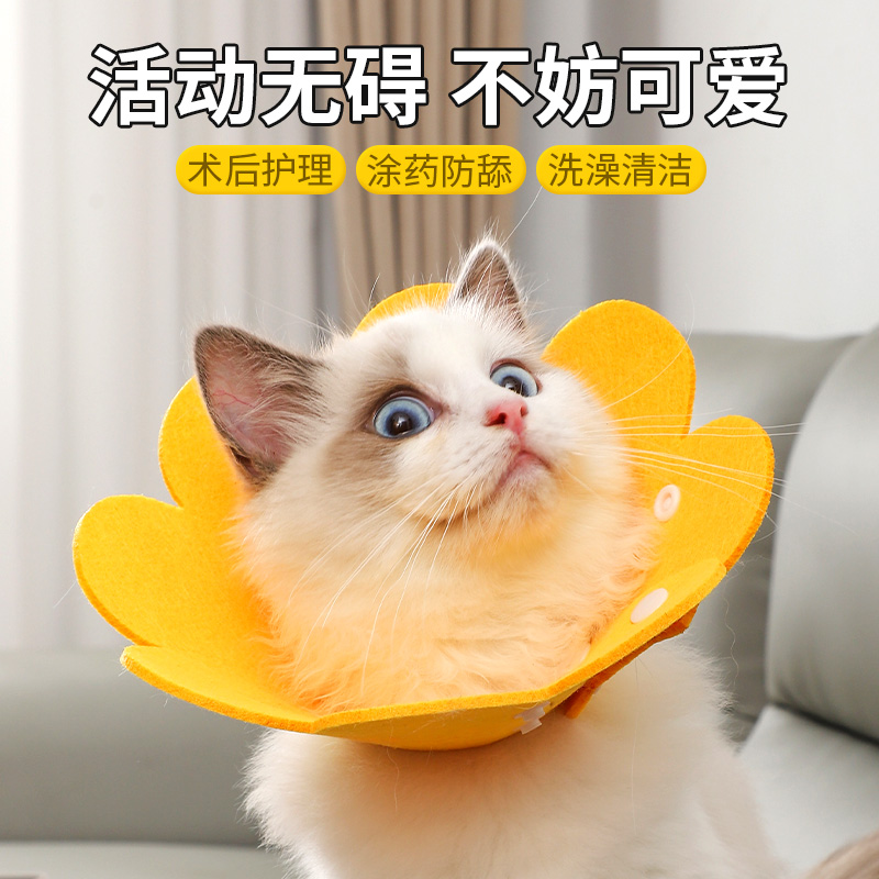 伊丽莎白圈狗狗猫咪项圈脖套防舔咬圈软伊莉莎白圈宠物头套耻辱圈