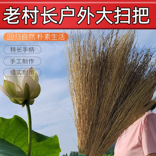 大扫把天然植物院坝户外清洁实用