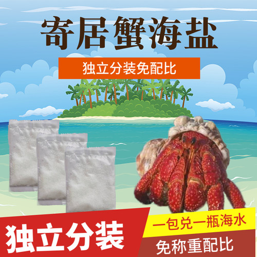 海盐天然水族珊瑚寄居蟹观赏