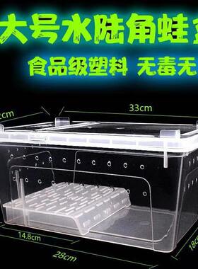 饲养爬虫观赏蟹蜘蛛蝎子蜥蜴角蛙