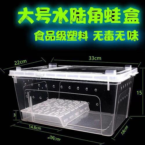 饲养爬虫观赏蟹蜘蛛蝎子蜥蜴角蛙