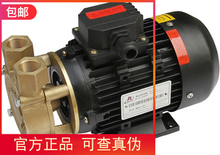 奥兰克泵WD-21 07-120 WD-10-200高温旋涡泵 高扬程泵锅炉热水泵