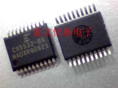 CS5532-BS CS5532-BSZ SSOP20 音频编解码器芯片 进口现货 可直拍