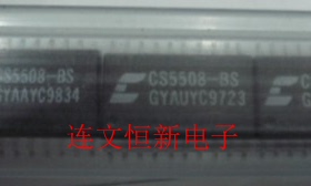 CS5508-BS CS5508-BSZ SOP20 音频编解码器芯片 进口现货 可直拍