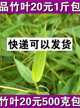 新鲜竹叶现采晒干河南