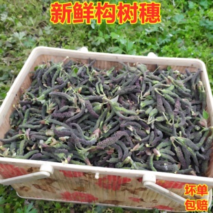 现货新鲜构树穗野菜构树穗楚不揪鲜构树花皮树虫构蒲穗楮不揪应季