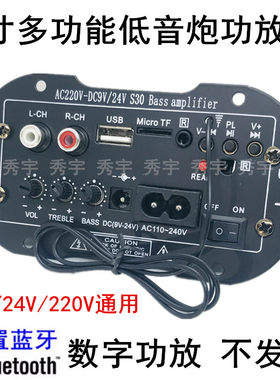 24V蓝牙功放板12V车载220V家用