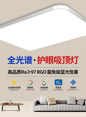 2025新款客厅主灯LED卧室灯吸顶灯简约现代大气餐厅房间中山灯