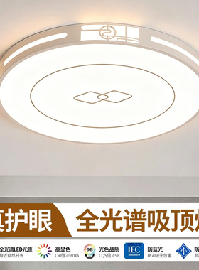 主卧室LED吸顶灯客厅房间餐厅中山灯具大全2026新款现代简约大气