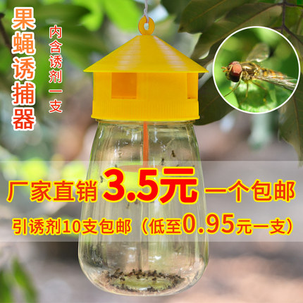 新款果蝇诱捕器瓜果实蝇诱捕剂果园菜地杀果蝇针蜂桔小实蝇引诱剂