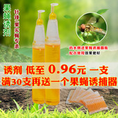 包邮 新一代瓜果实蝇针锋诱捕器诱剂引诱黄色液剂 2ml引诱液满30支