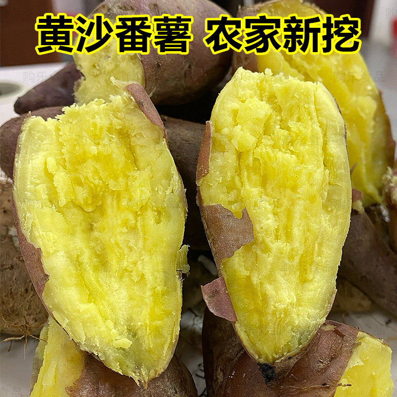 高山古丁黄沙番薯广东沙地种植粉