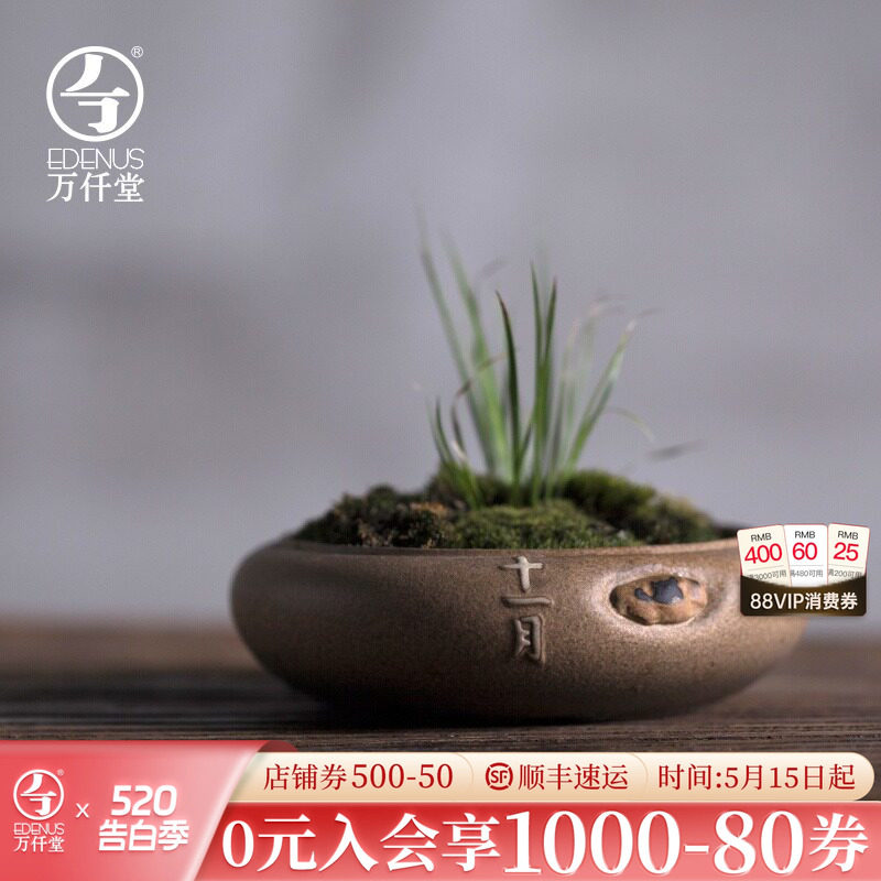 万仟堂陶瓷迷你小花插桌面小花器摆件茶道日式花插十二花季花插