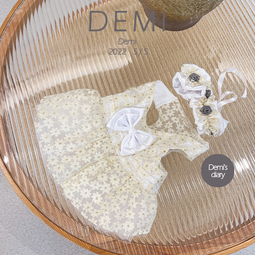 DEMI原创设计夏季新款法斗巴哥英斗西施定制雏菊镂空公主裙送头饰