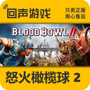 Steam 正版 国区  怒火橄榄球2 Blood Bowl 2: Legendary Edition
