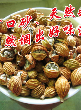 1斤砂仁草果鲜果自然农家