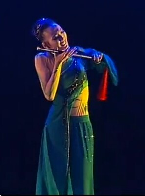 红果果演出服饰桃李杯舞服装竹音瑟瑟舞蹈服民族服古典舞