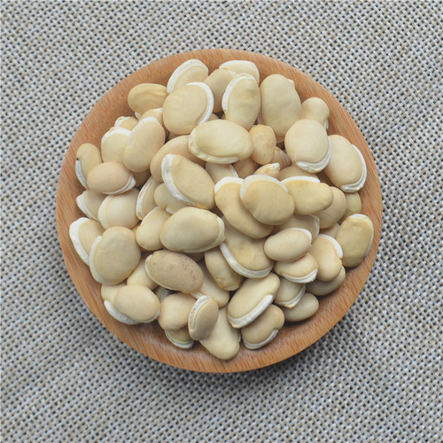 生的白扁豆药扁豆长寿打豆浆500g
