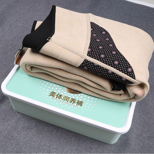 580克特厚棉面打底裤 蓝玫佳黛7765加厚保暖裤 100%羊毛絮片V腰经典