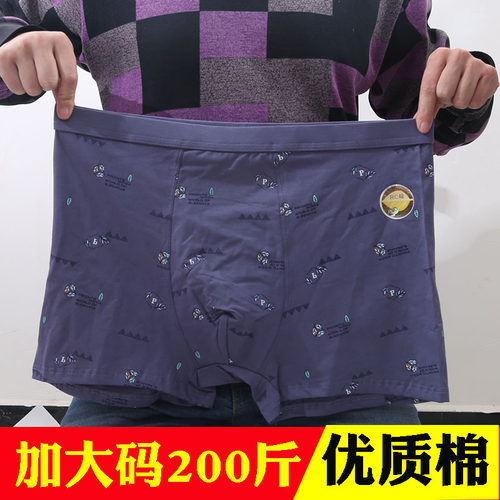 平角内裤男士棉裤衩裤头
