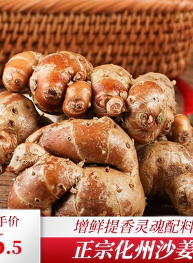 正宗化州南盛沙姜产地直发