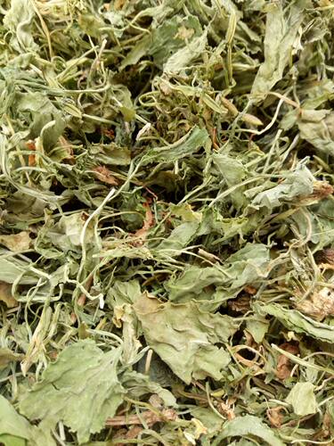 紫花地丁中药材野生地丁草犁头草紫花地丁草药苦地丁500克1袋包邮 - 封面