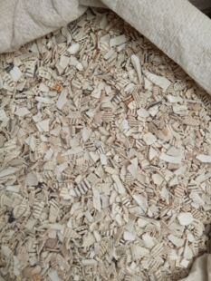 瓦楞子500克包邮中药材生瓦楞子 另有煅瓦楞子