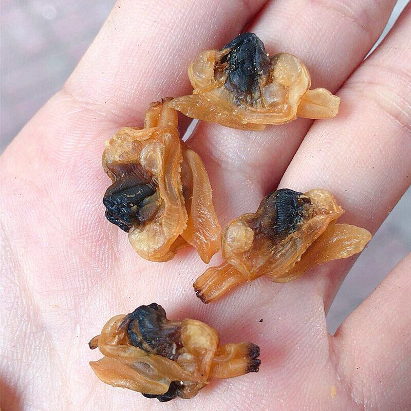 白晒花蛤干 蚬子干福建闽南特产海产海鲜干货蛤蜊肉干文蛤250克