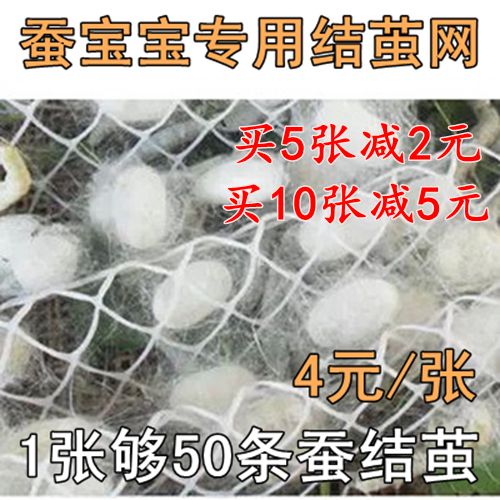 蚕宝宝结茧网 蚕上山工具 够40条蚕结茧 蚕吐丝结茧网 5张包邮