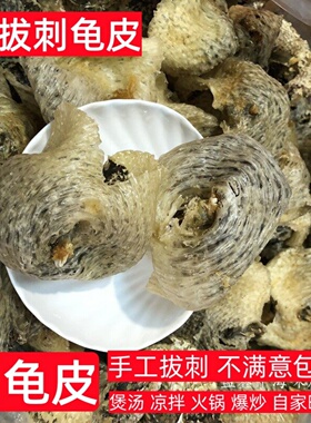 渔民自晒刺龟皮已拔刺刺龟鱼皮刺豚皮无刺鲍鱼海味干货煲汤火锅料