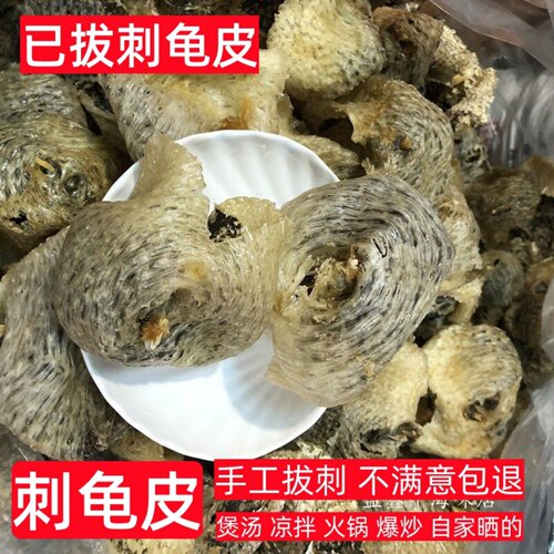 已拔刺刺龟皮无刺海胆刺豚鱼皮干