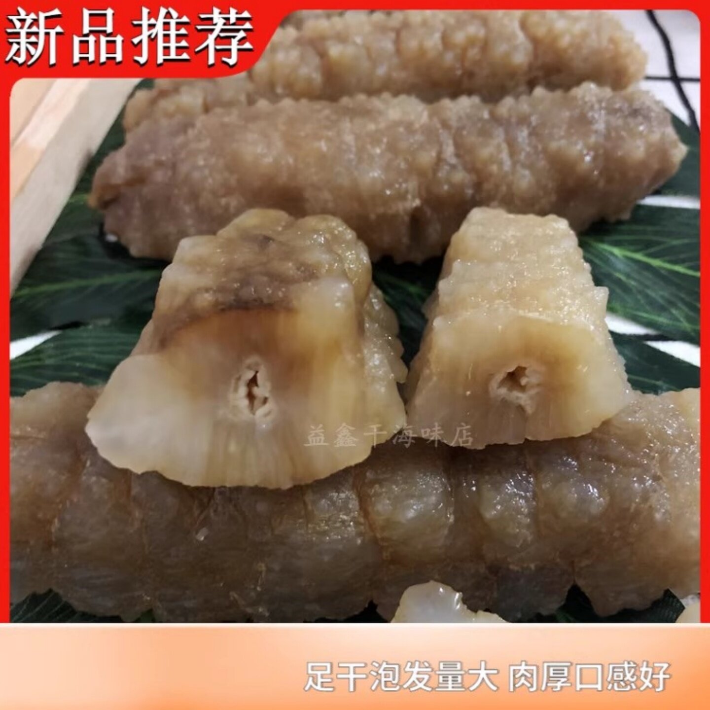 淡干海参黄玉参白刺参黄肉参250克海味水发海鲜干货特产