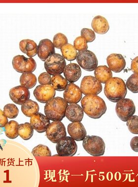 野生2021新鲜铁粒金丹陈伤子珍珠