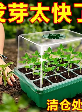 多肉叶插育苗盆三件套培养播种盒保湿温育苗盘12孔塑料育苗盒盖