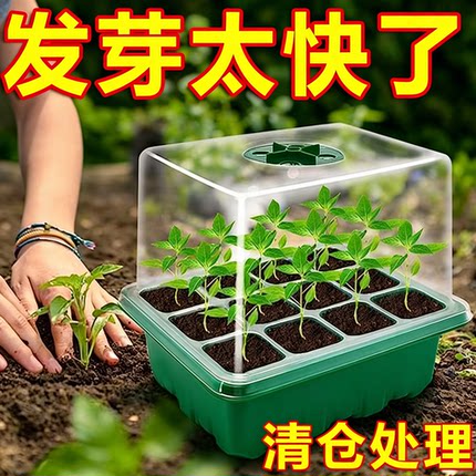 多肉叶插育苗盆三件套培养播种盒保湿温育苗盘12孔塑料育苗盒盖
