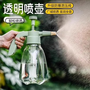 喷水壶养花小瓶 喷壶浇花家用压力洒水壶喷雾器浇水清洁专用气压式