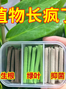 植物营养棒缓释棒通用型缓释营养