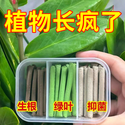 植物营养棒缓释棒通用型缓释营养