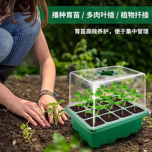 多肉带盖保湿育苗盒12孔三件套