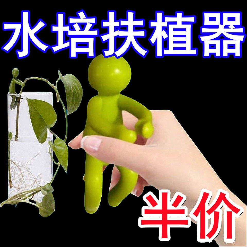 新款水培植物生长伴侣水培器皿扶正扶枝桌面装饰固定造型防倒伏叶