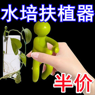 新款水培植物生长伴侣水培器皿扶正扶枝桌面装饰固定造型防倒伏叶