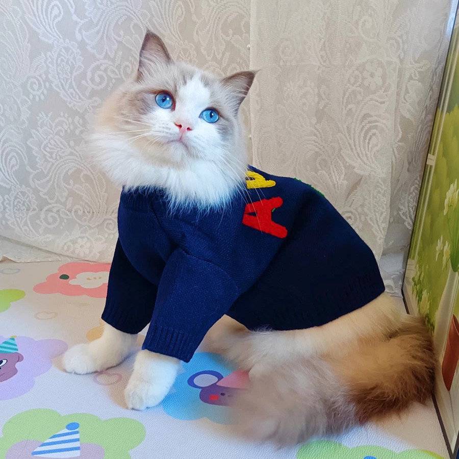 帅气公猫宠物春秋款毛衣猫咪布偶猫加菲猫银渐层暹罗猫英短猫衣服