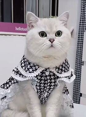 猫咪衣服公主风裙子春秋款布偶猫银渐层加菲猫蓝猫小猫防掉毛可爱