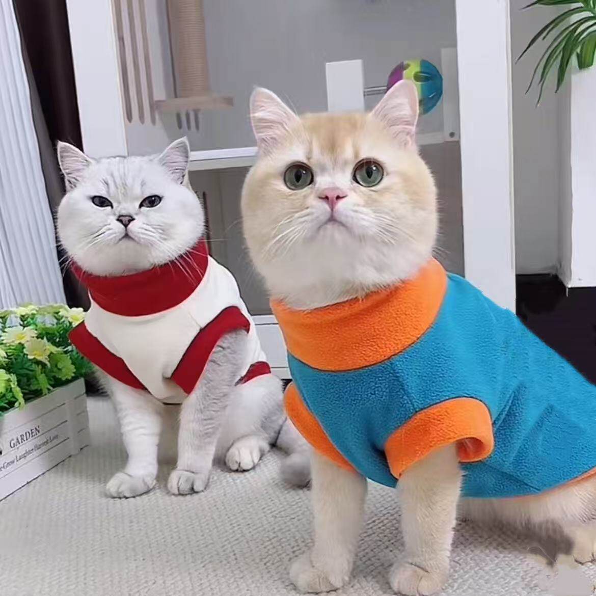猫咪衣服小猫幼猫可爱秋冬暹罗猫银渐层缅因猫布偶猫金渐层矮脚猫