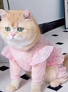 猫咪衣服四脚防掉毛薄款公主风布偶猫加菲猫蓝猫小猫可爱背心夏季
